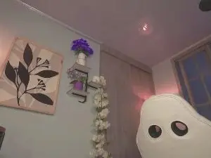 Cam4 Best live sex cam show of Vanesita_novoa