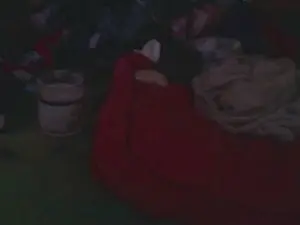 Cam4 Best live sex cam show of lishrimpdick