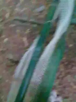 Cam4 Sex Cam of danilofuckal