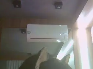 Cam4 Watch Live Sex Cams of SkinnyKittenCam