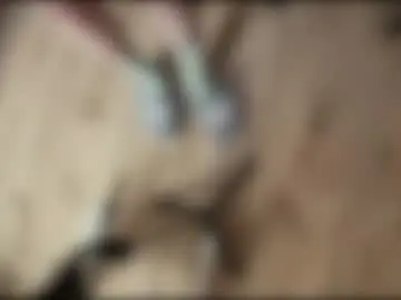 Chaturbate Free Porn Cam of yexes