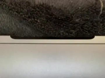 Chaturbate Best live sex cam show of lyadumont