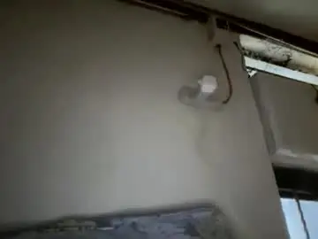 Chaturbate Nude Webcam of danemirabel