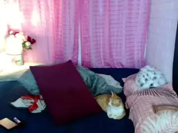 Chaturbate Adult Webcam of uncut_queen