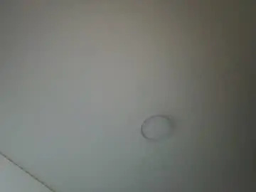 Chaturbate Free Live Porn of im__isabella