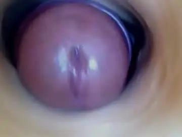 Chaturbate Free Live Porn of paulainoscente