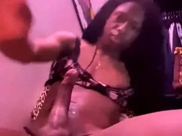 Chaturbate Adult Video Chat of horseybrawn