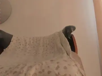Stripchat Sex Cam of isabelsexysmile_