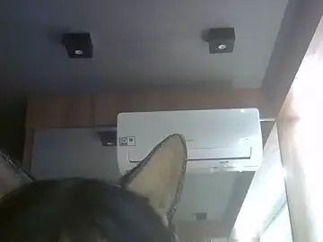 Stripchat Watch Live Sex Cams of SkinnyKitten
